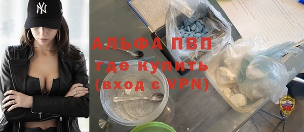 дживик Краснослободск