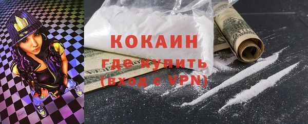 дживик Краснослободск
