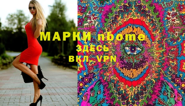 дживик Краснослободск