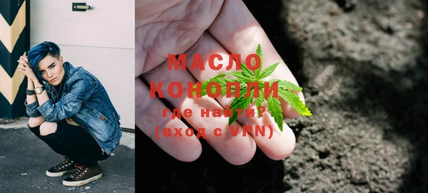 дживик Краснослободск
