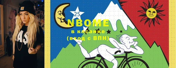 дживик Краснослободск