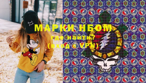 дживик Краснослободск