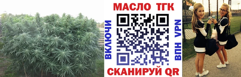 Дистиллят ТГК вейп Асино