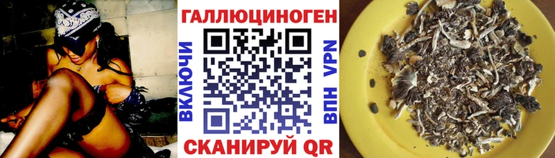 Псилоцибиновые грибы Psilocybe  Купить где  Асино 